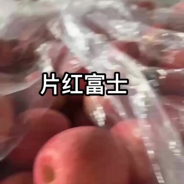 片红富士