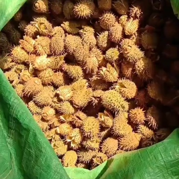 曼陀罗，有需要的联系