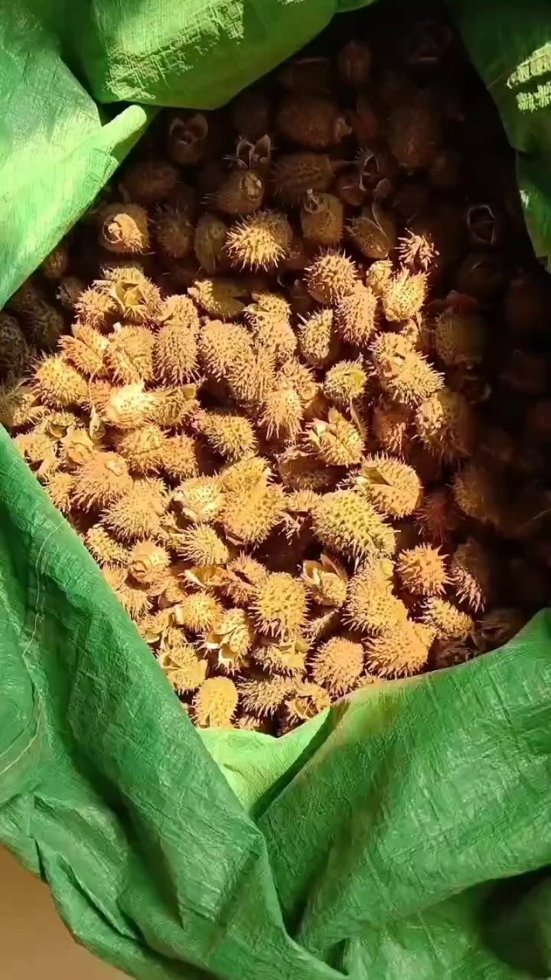 曼陀罗，有需要的联系