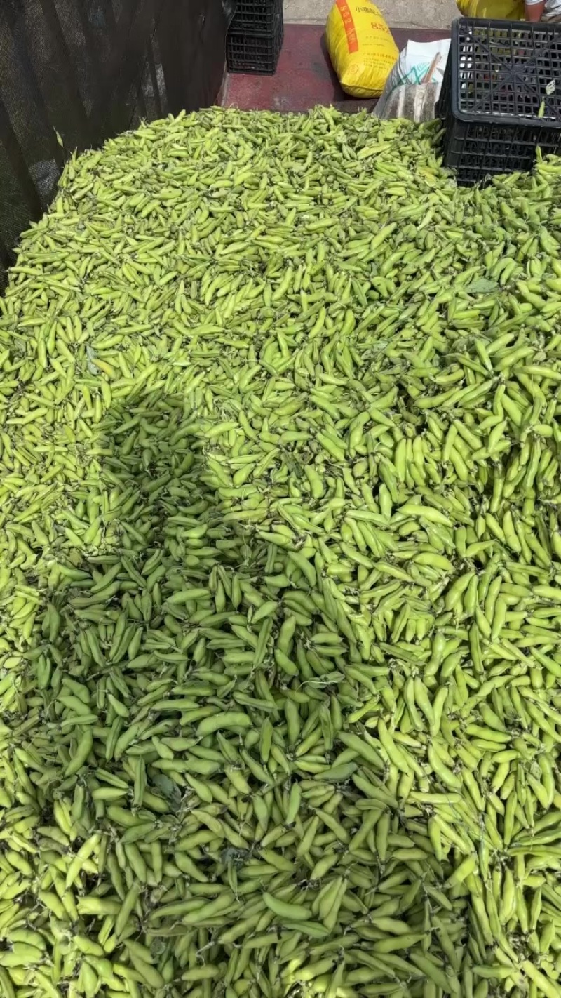 大理蚕豆