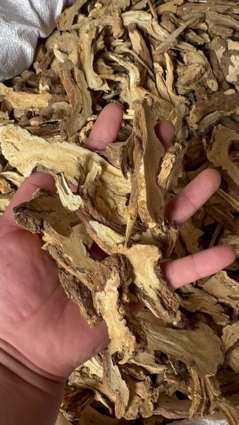 河北地产白术一年片两年片