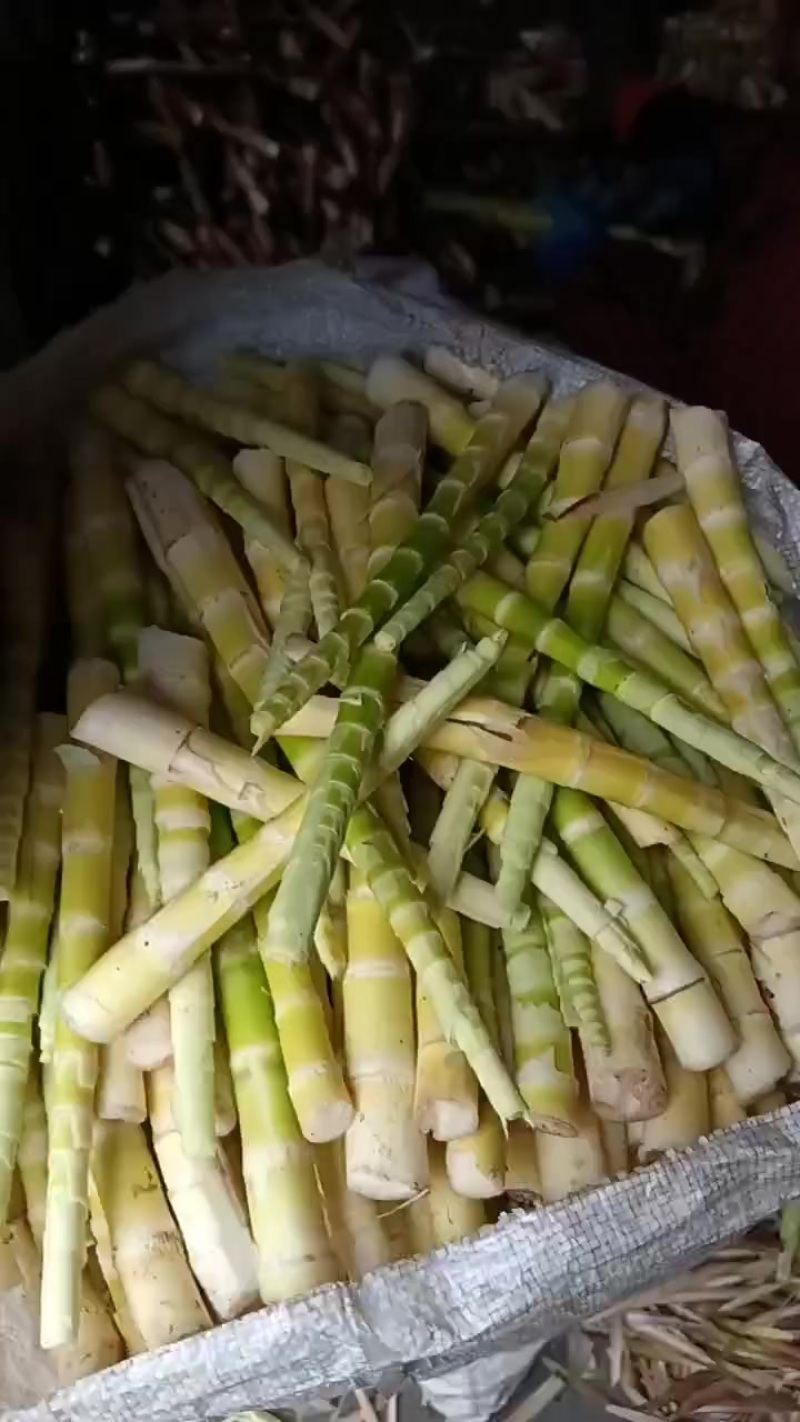 竹笋上市了，需要的联系，现场采摘发货，******剂