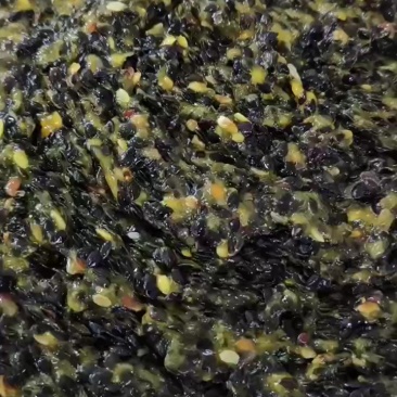 百香果籽