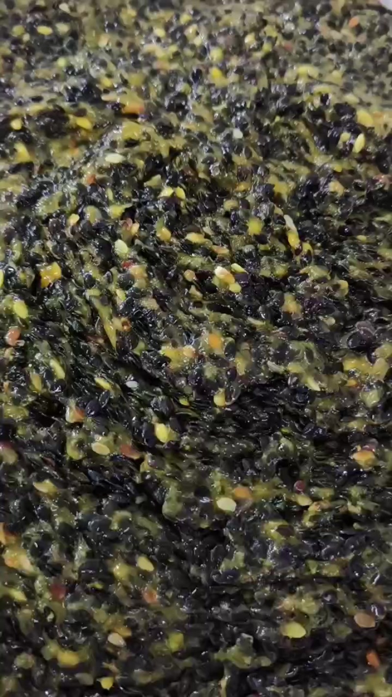 百香果籽