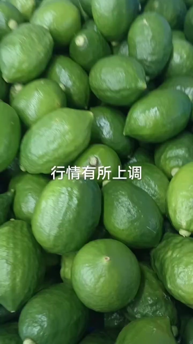 广东香水柠檬靓靓一级果
