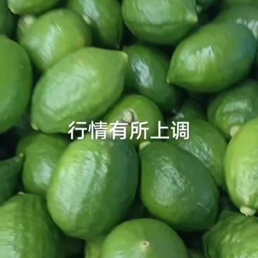 广东香水柠檬靓靓一级果