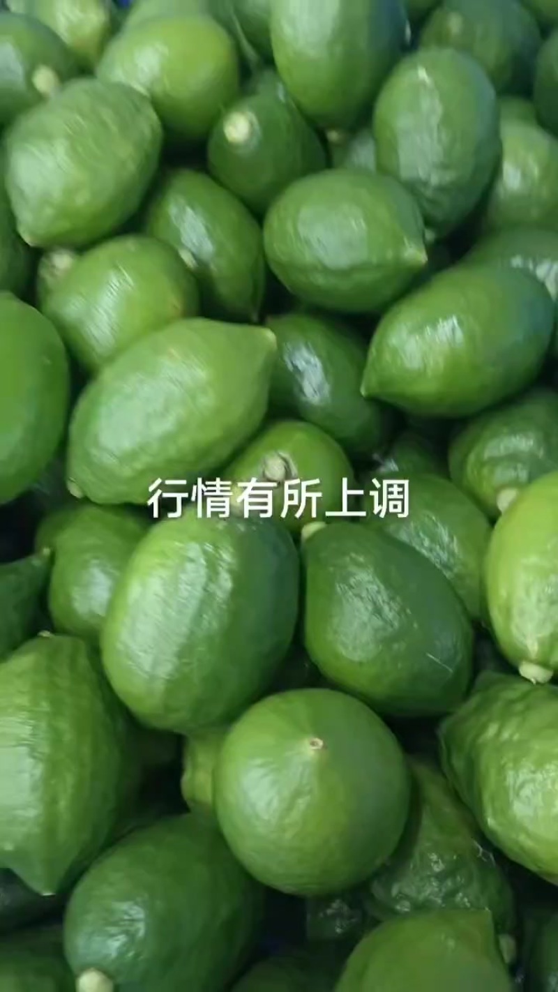 广东香水柠檬靓靓一级果