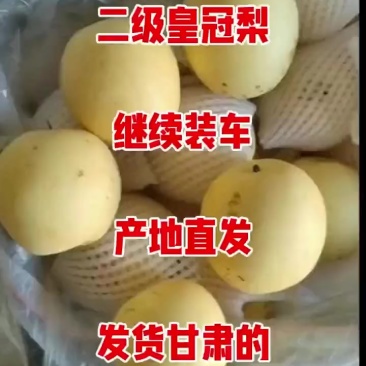 二级皇冠梨