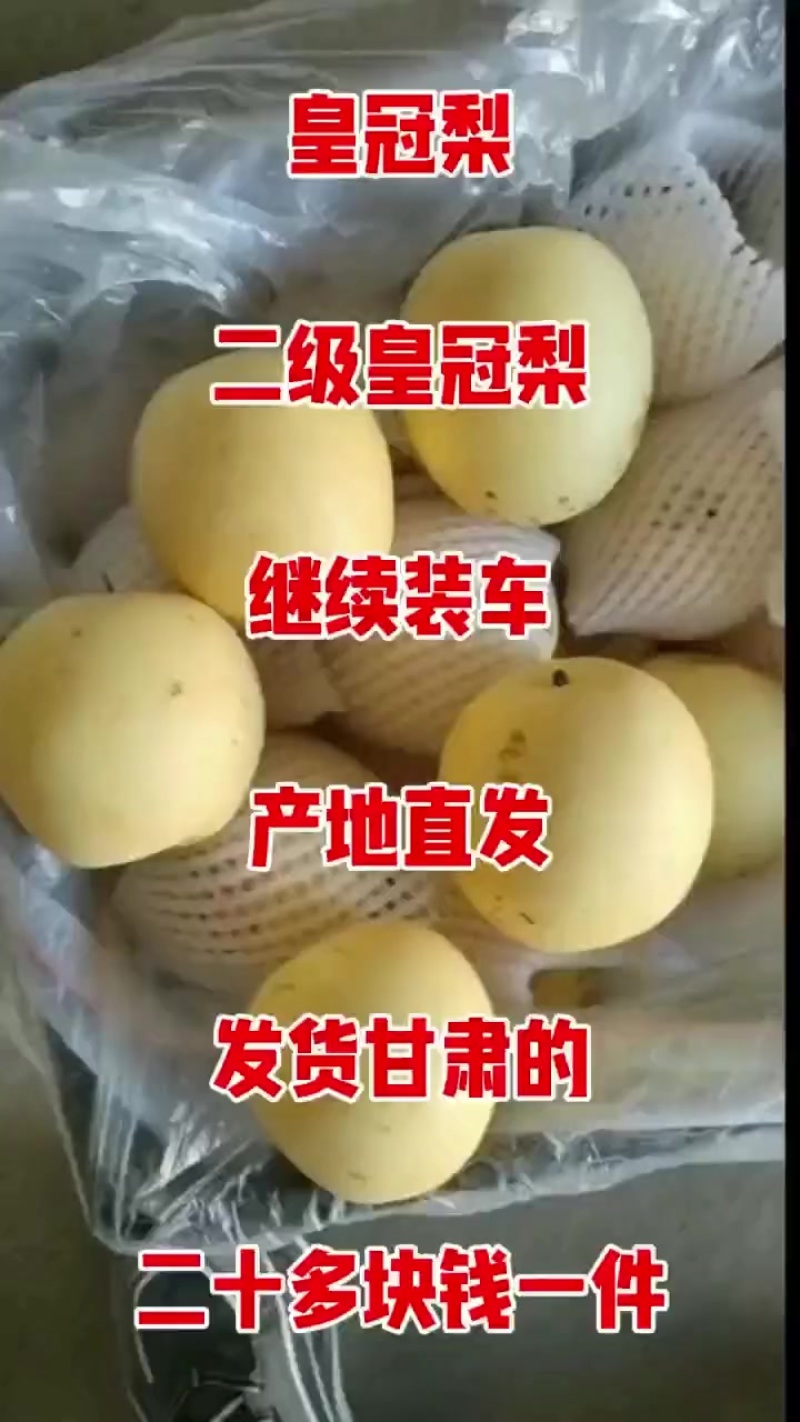 二级皇冠梨