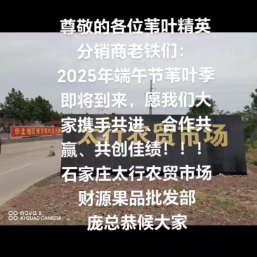 鲜芦苇叶