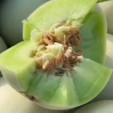 新鲜采摘甜瓜，香甜多汁，夏日清凉**，**特惠，赶快抢购！