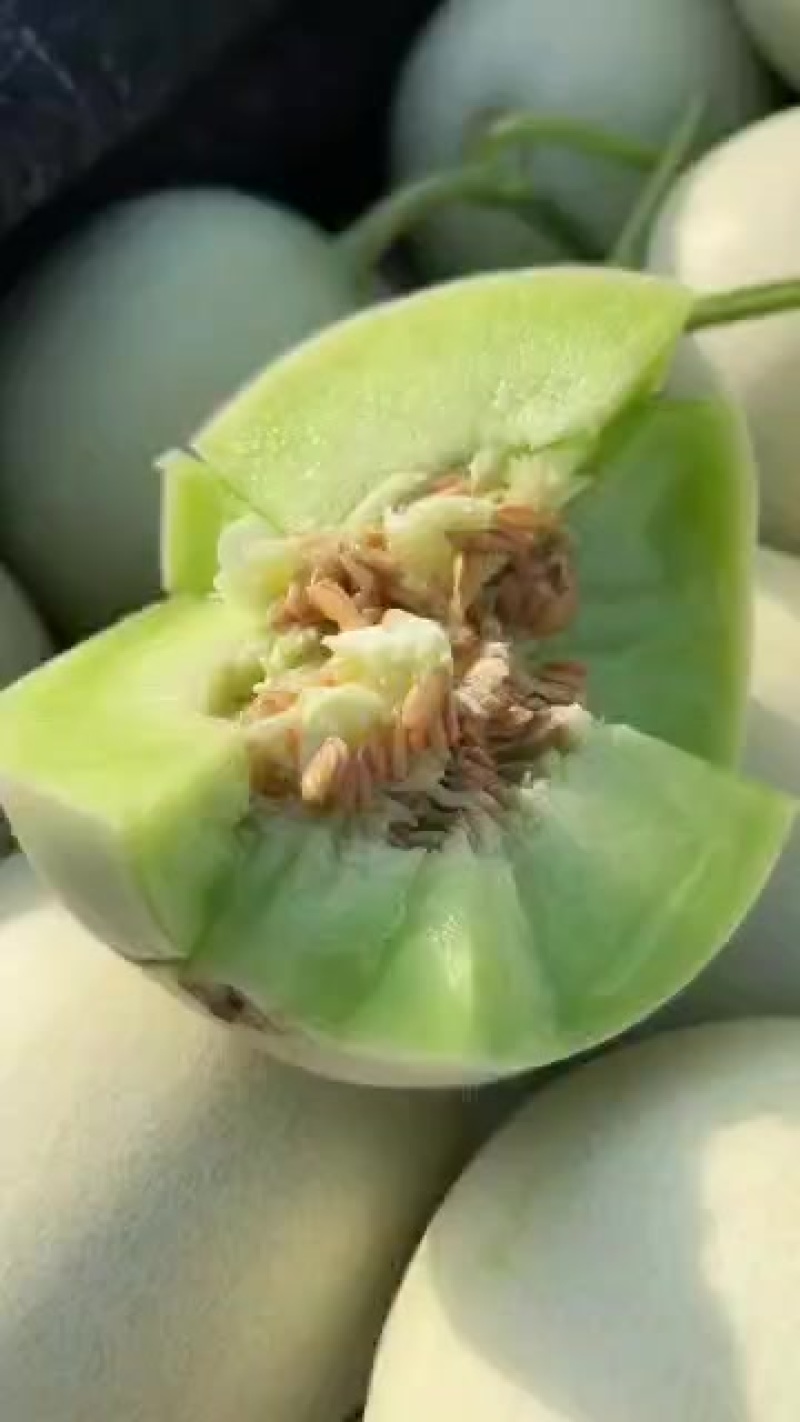新鲜采摘甜瓜，香甜多汁，夏日清凉**，**特惠，赶快抢购！