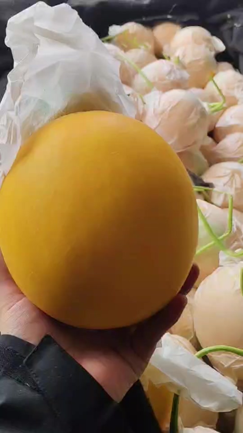 新鲜采摘甜瓜，香甜多汁，夏日清凉**，**特惠，赶快抢购！