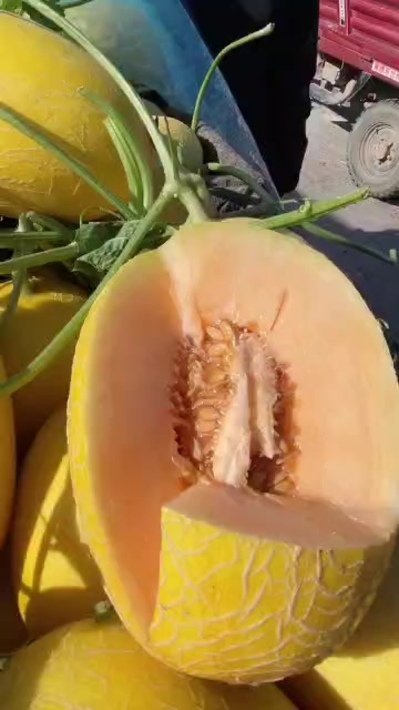 新鲜采摘甜瓜，香甜多汁，夏日清凉**，**特惠，赶快抢购！