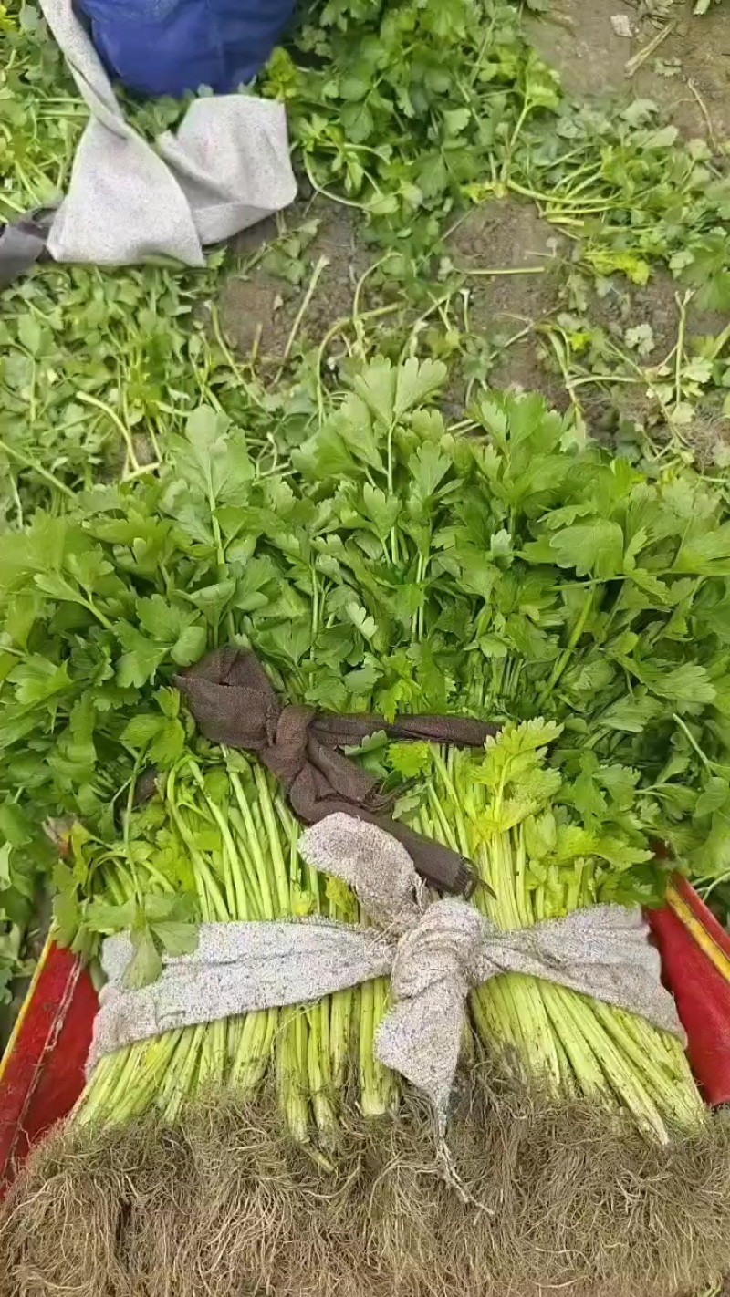种植基地