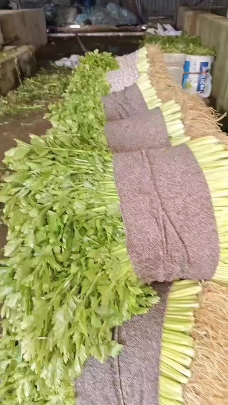 种植基地