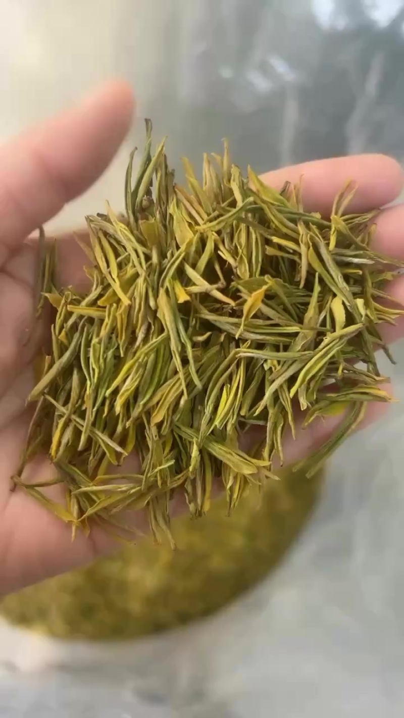黄金叶