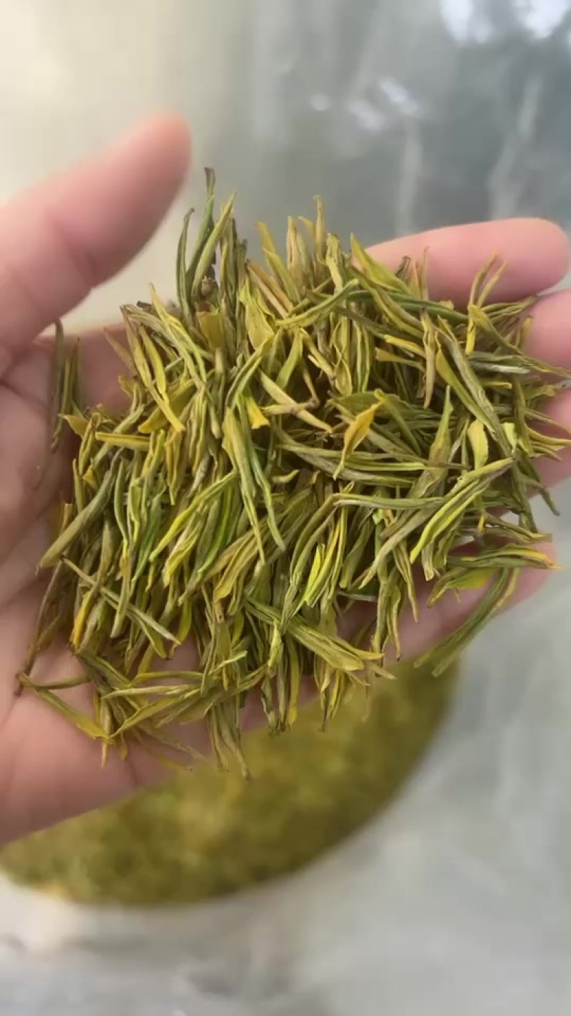 黄金叶