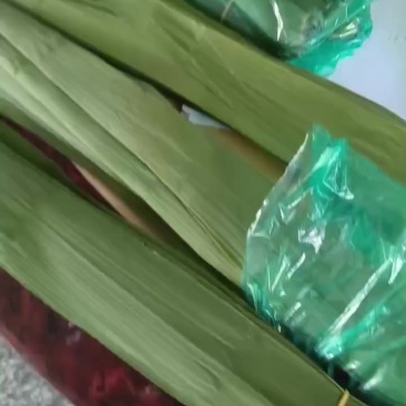 新鲜粽叶大量有货一手货源欢迎电联
