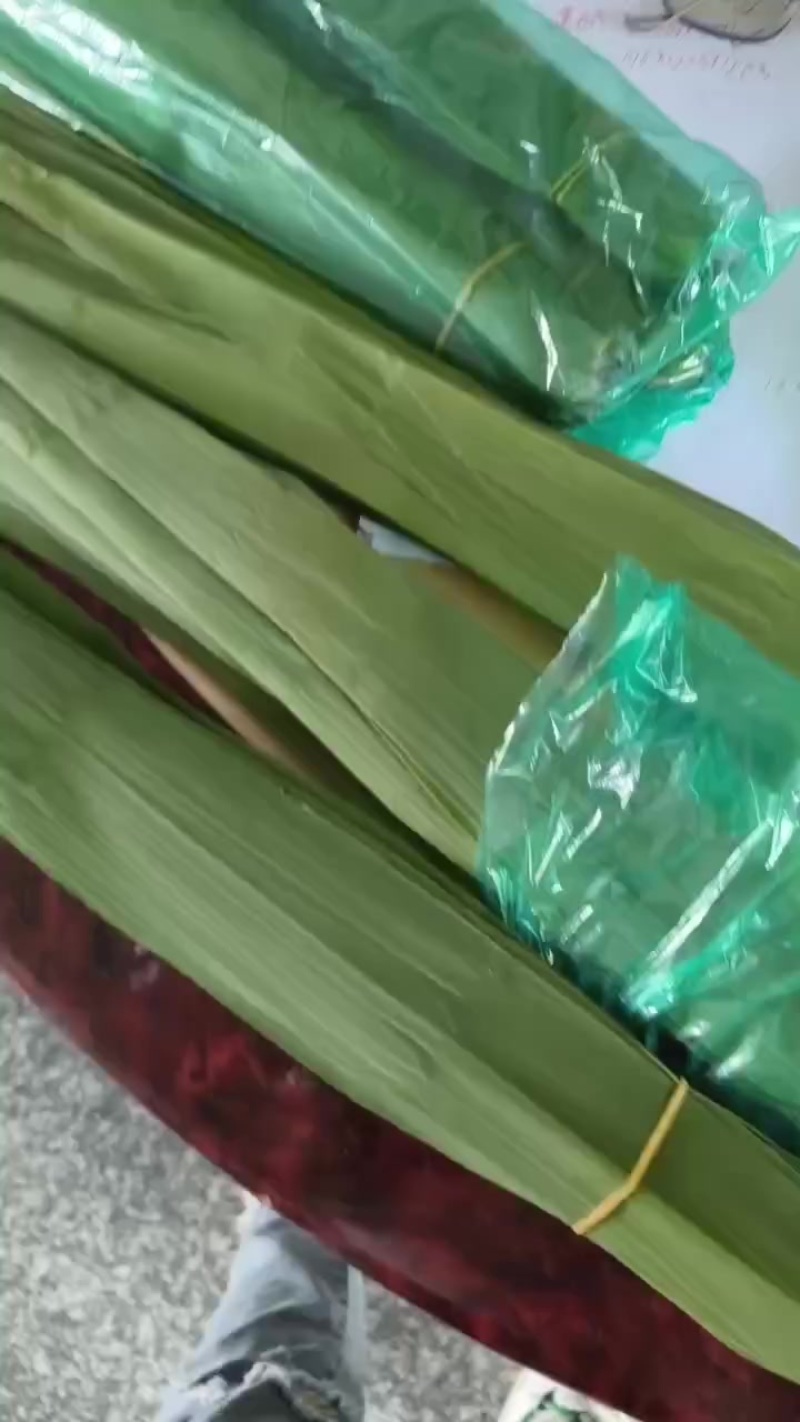 新鲜粽叶大量有货一手货源欢迎电联