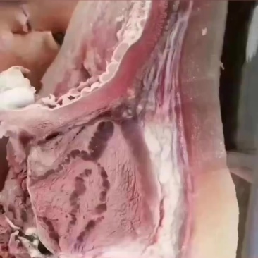 【熟牛头肉】