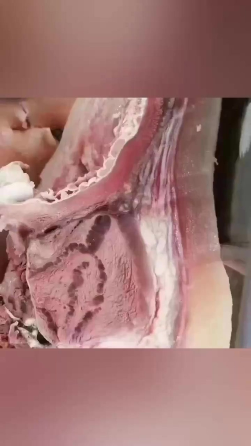 【熟牛头肉】