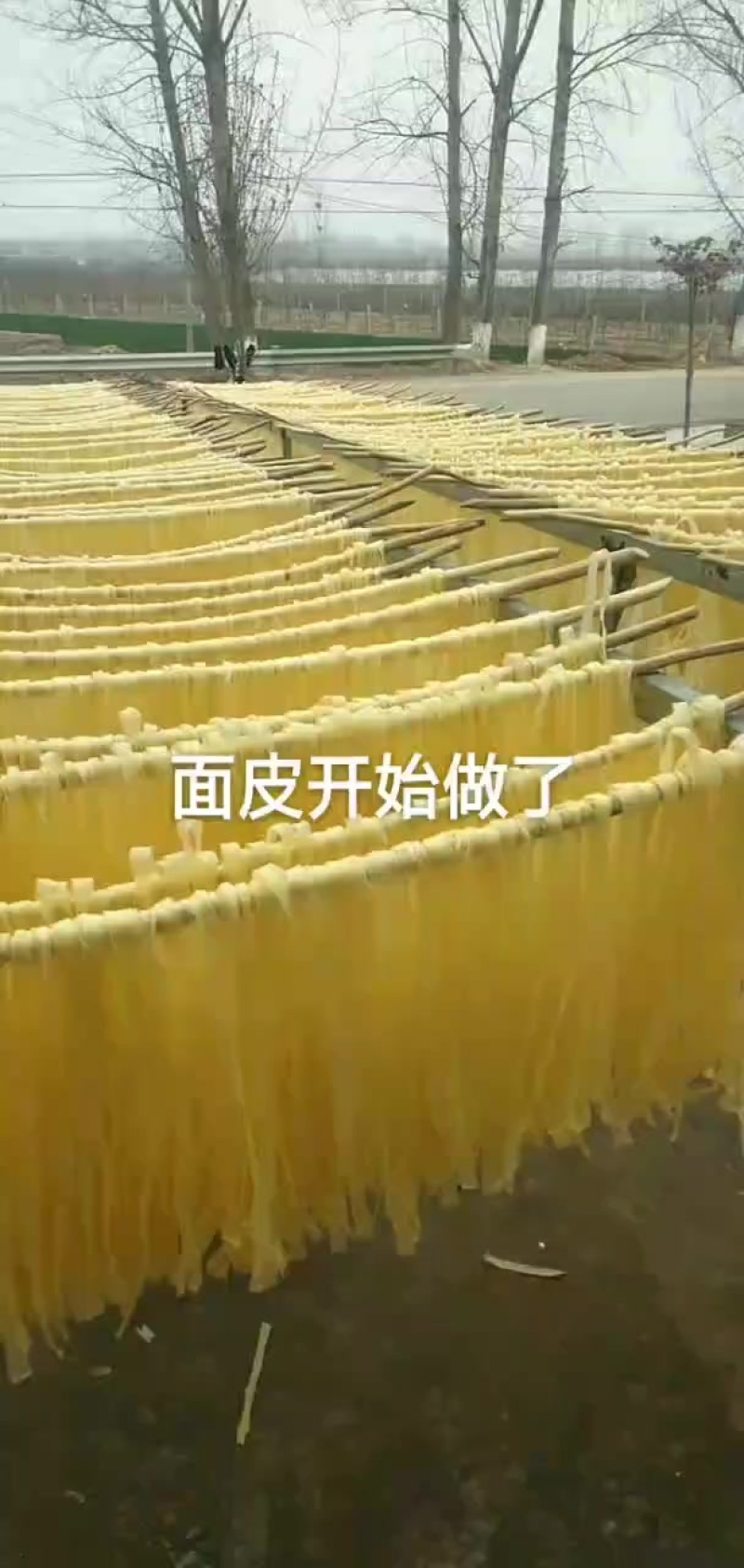 纯面粉，干面皮！