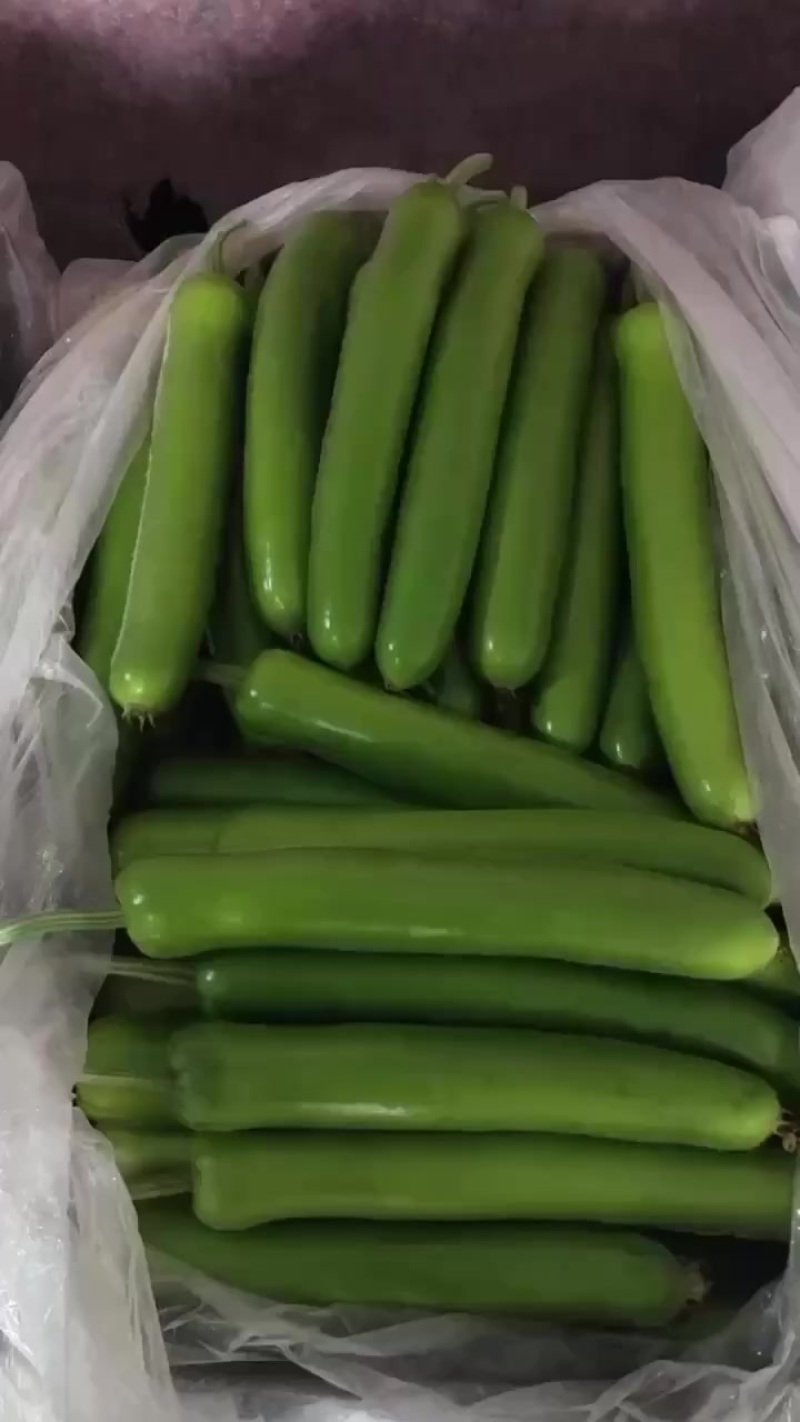 瓠瓜