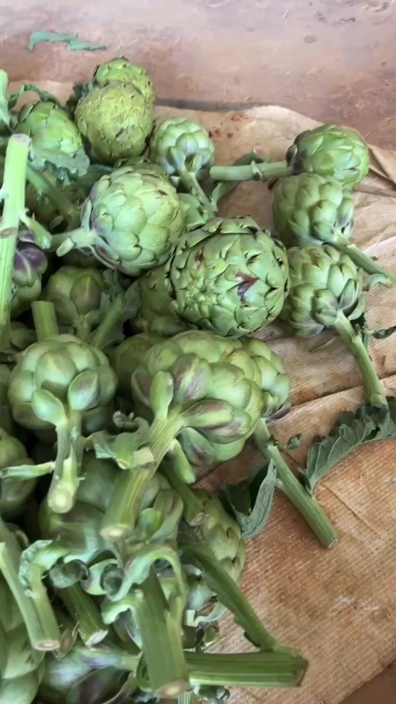 有需要洋蓟的老板可以联系