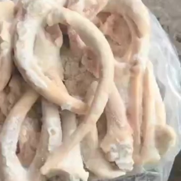 二级破皮猪尾