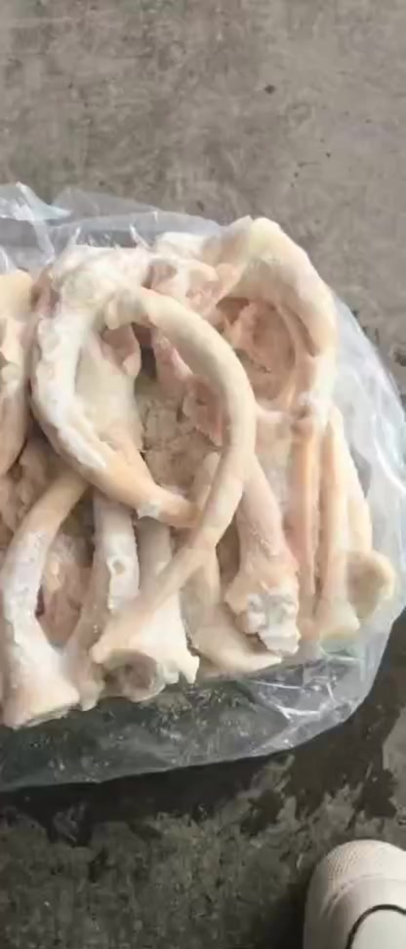 二级破皮猪尾