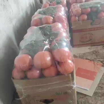 普罗旺斯西红柿