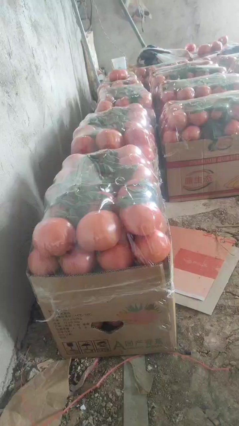 普罗旺斯西红柿