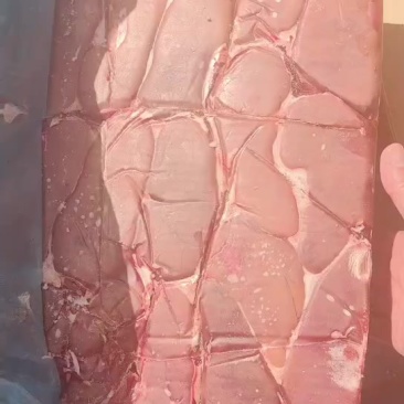 猪腰子