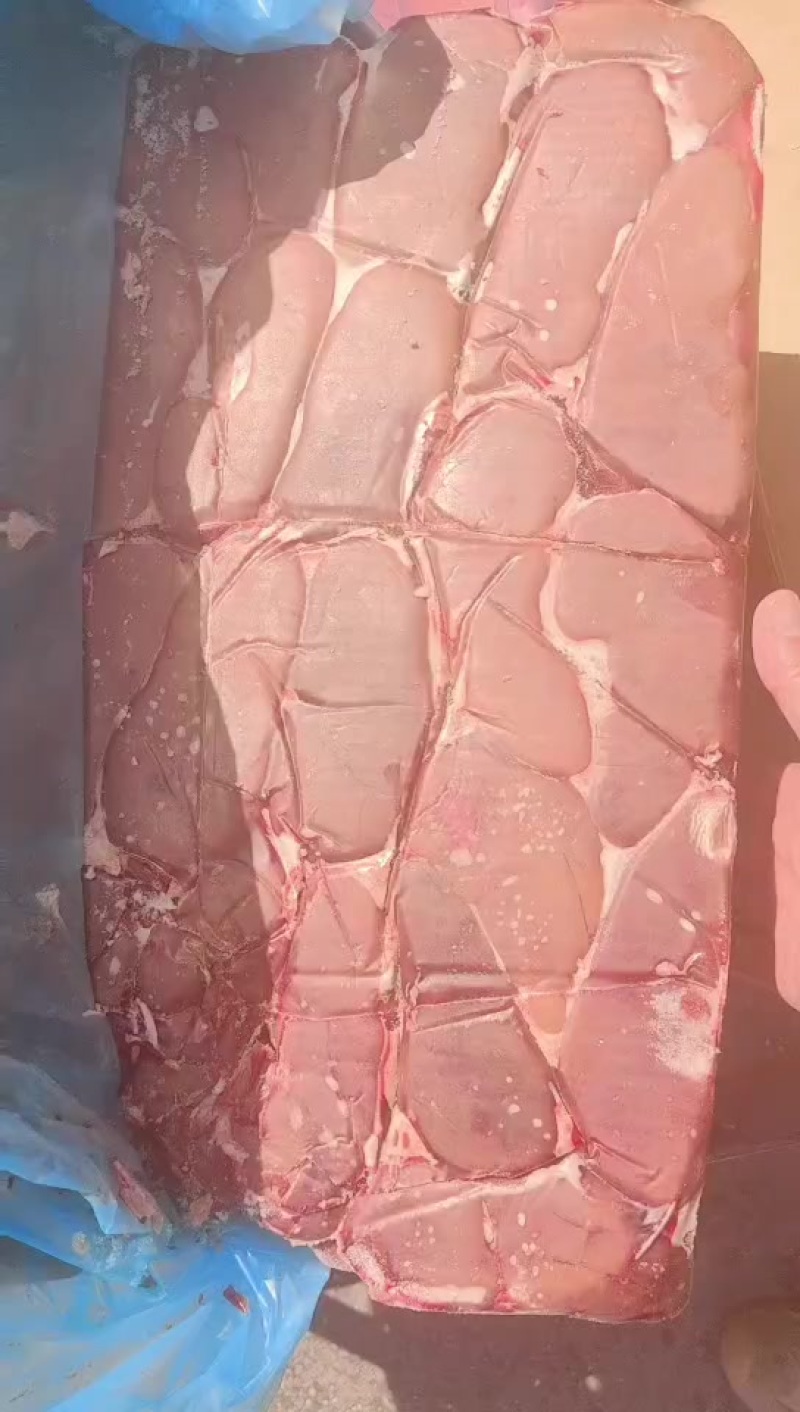 猪腰子