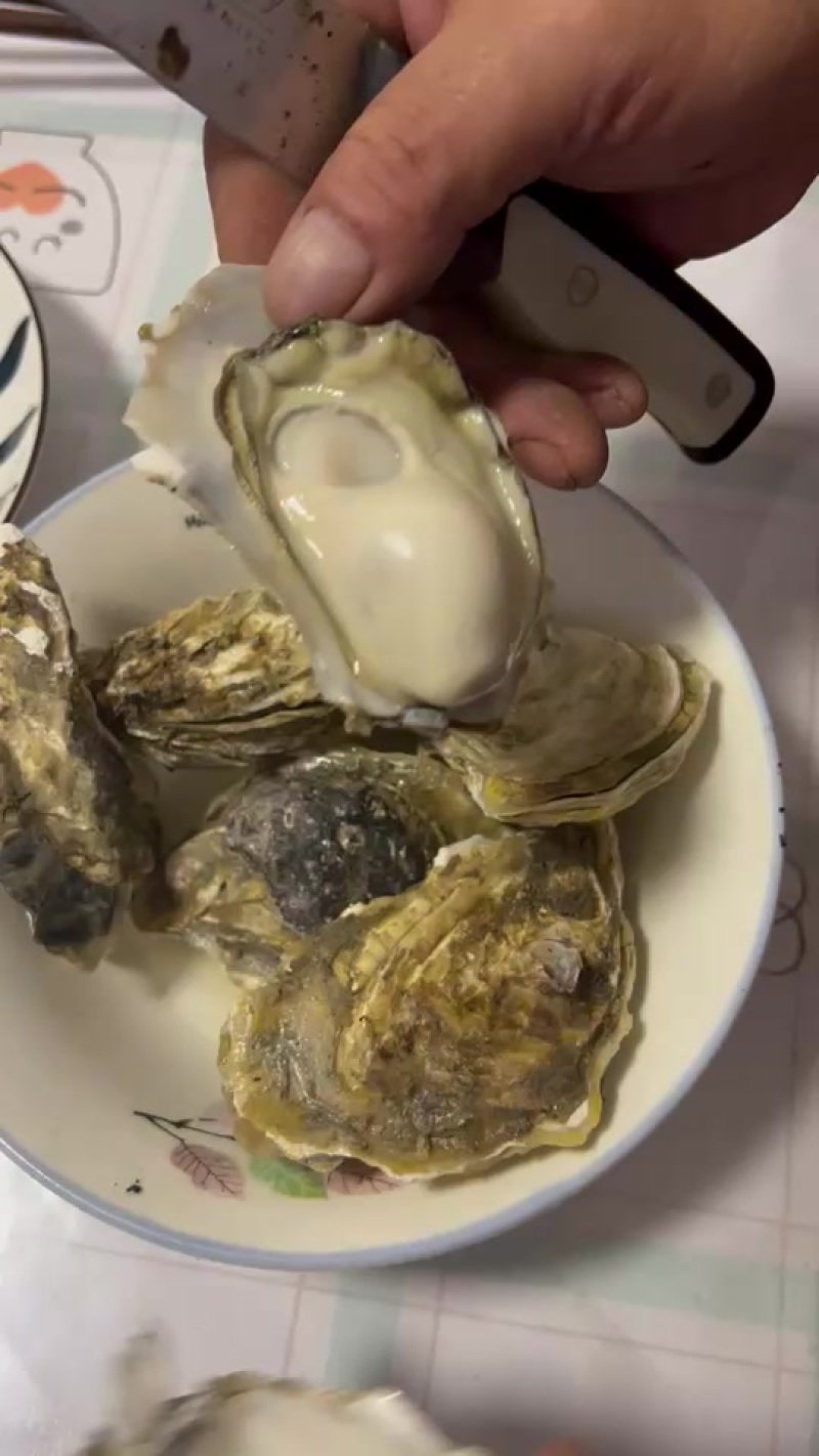 小生蚝九成肥