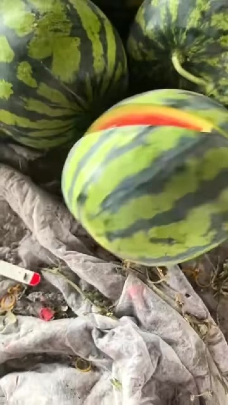 甜王