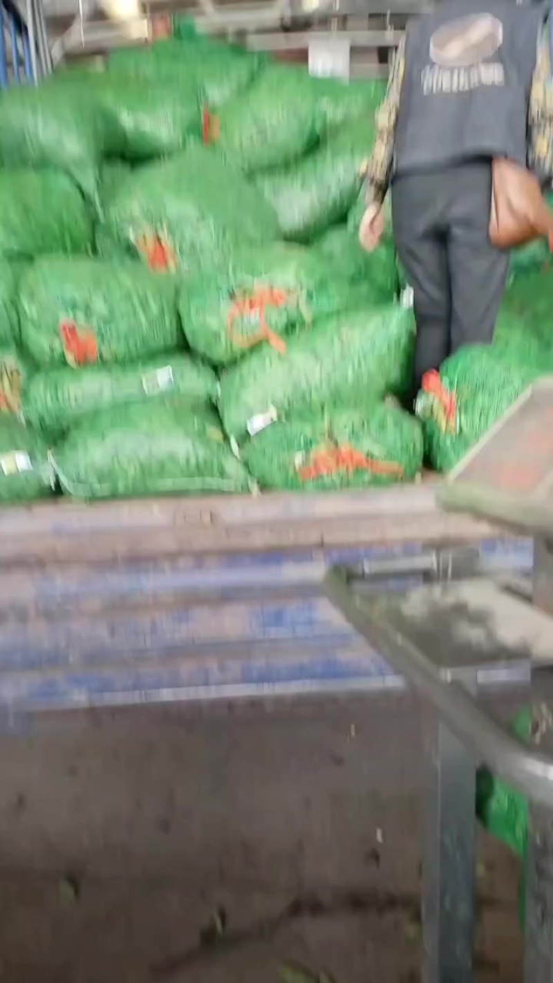 胡豆