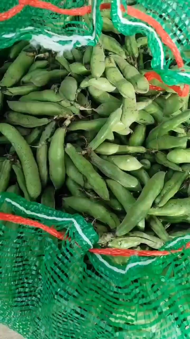 胡豆