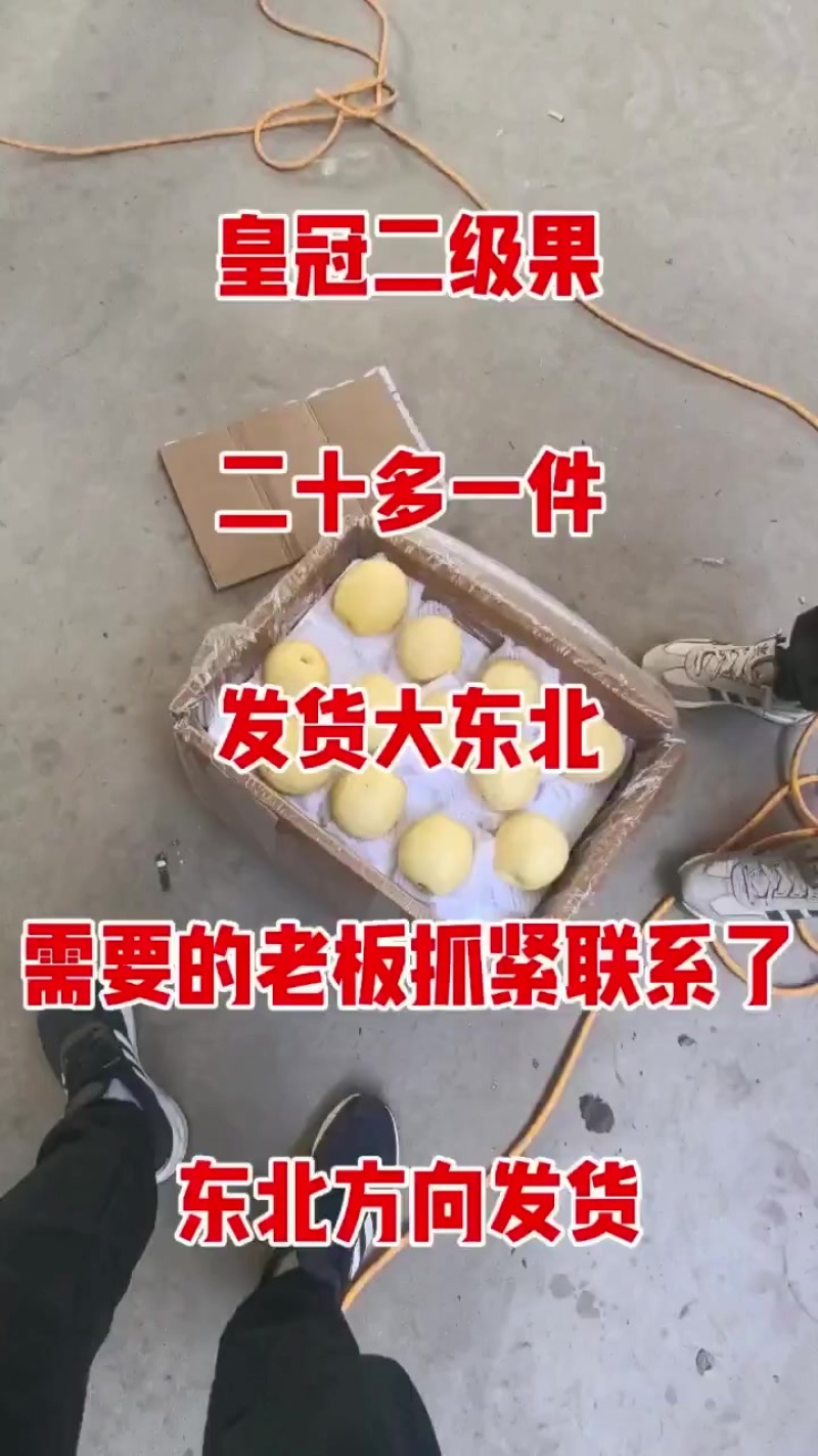 二级皇冠梨
