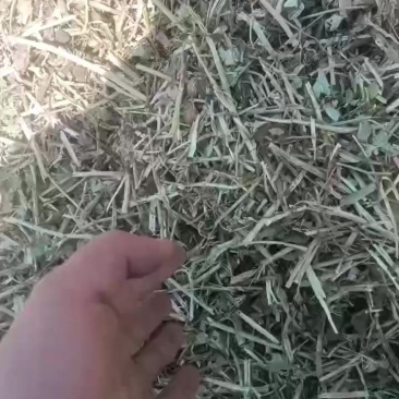 花生秧