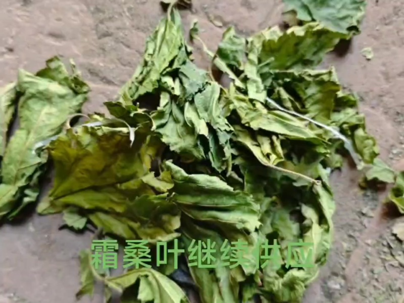 先把人做好，在去做事，诚信经营，合作共赢