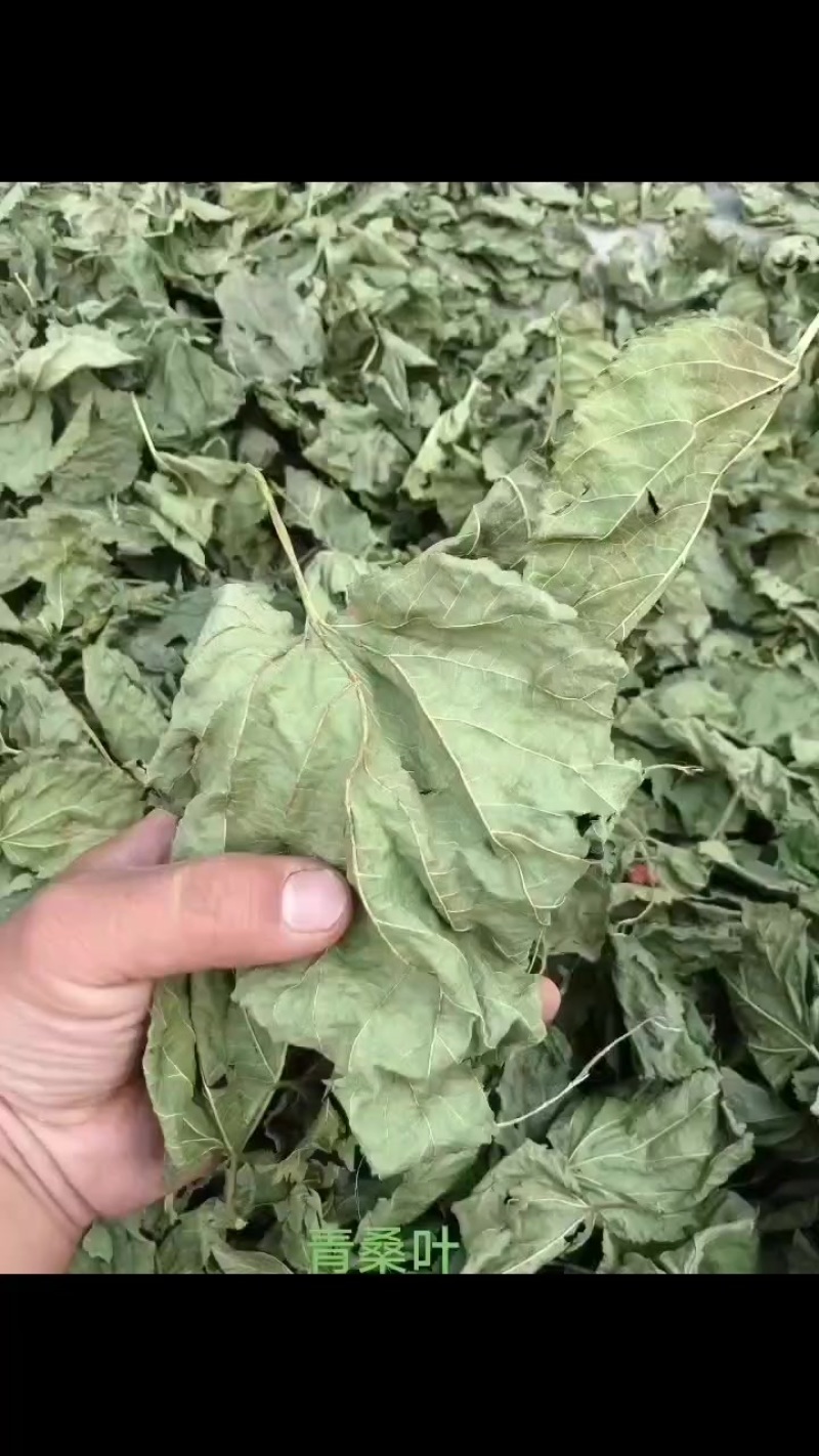先把人做好，在去做事，诚信经营，合作共赢