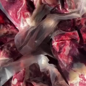 马肉正规屠宰场手续齐全