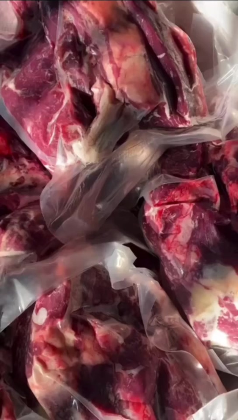 马肉正规屠宰场手续齐全