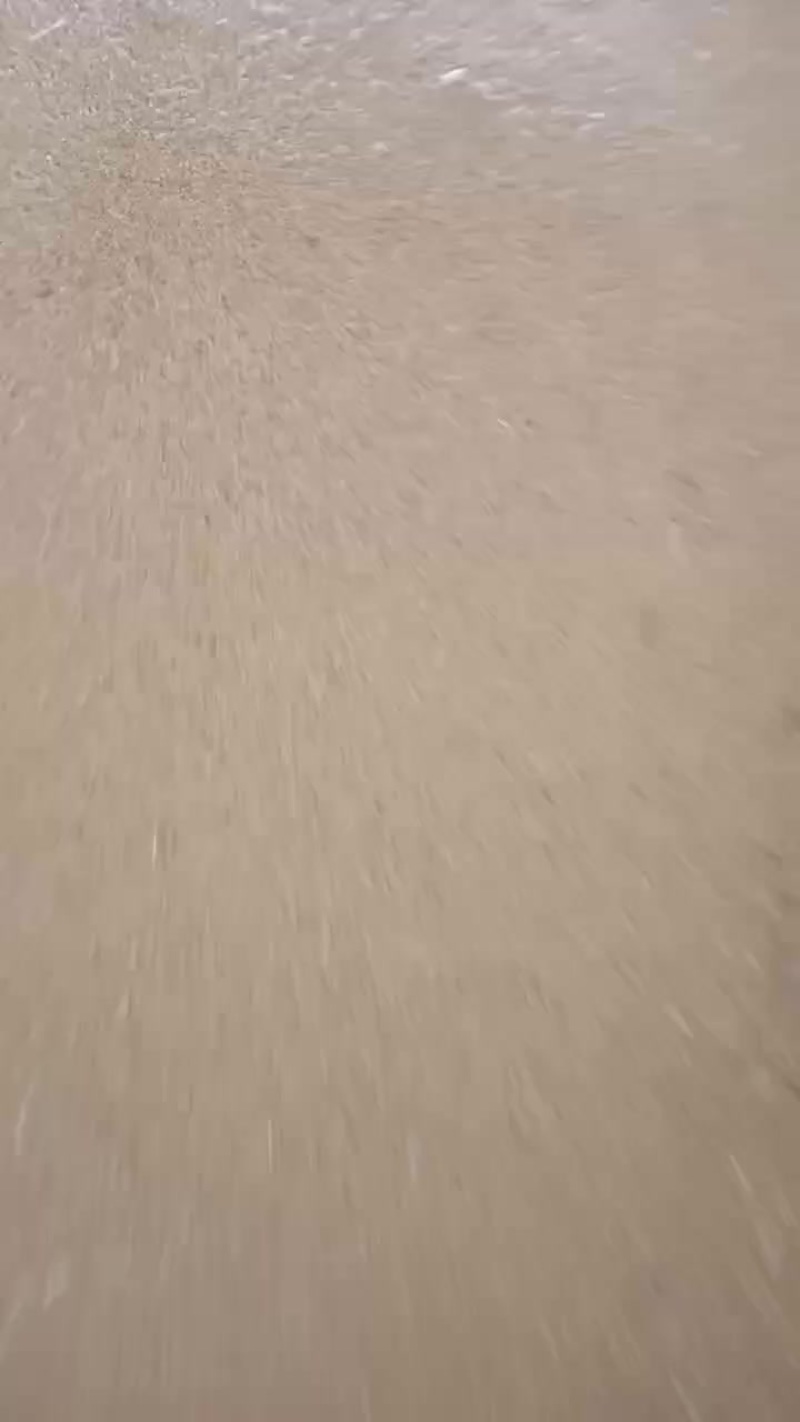 河北冀谷39