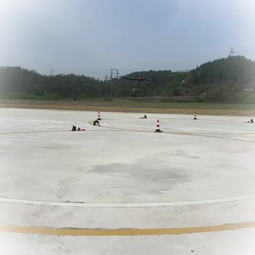 马尼拉草皮，混播草皮