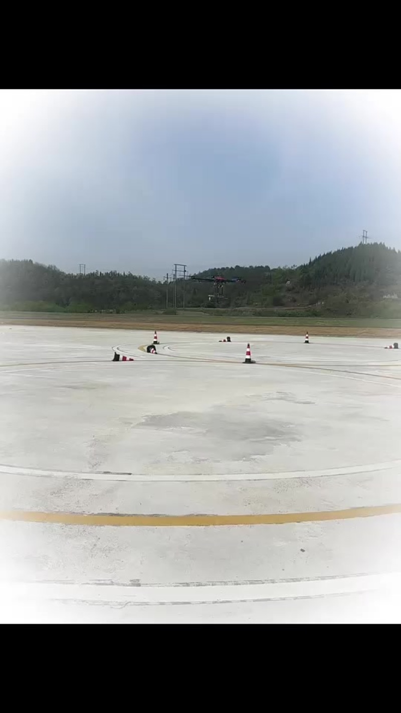 马尼拉草皮，混播草皮