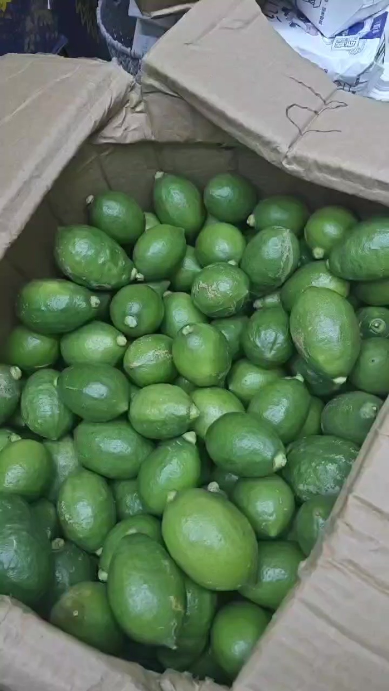 广东香水柠檬