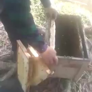 蜂箱